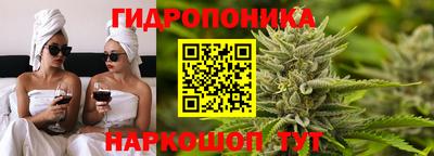 2c-b Заводоуковск