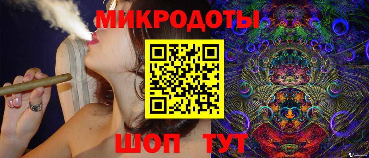 Галлюциногенные грибы Psilocybine cubensis Люберцы